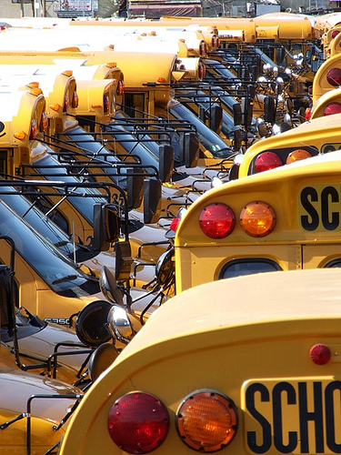 School_Buses.jpg