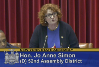 Assembly Member Jo Anne Simon. Photo: NYS Assembly
