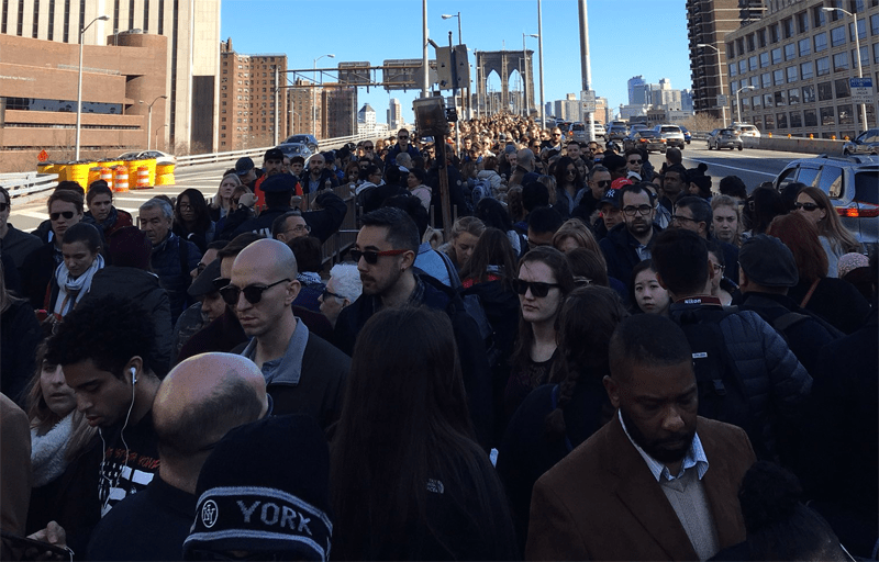 Crowding near the foot of the Brooklyn Bridge on Saturday. Photo: Sean Stevens/Twitter