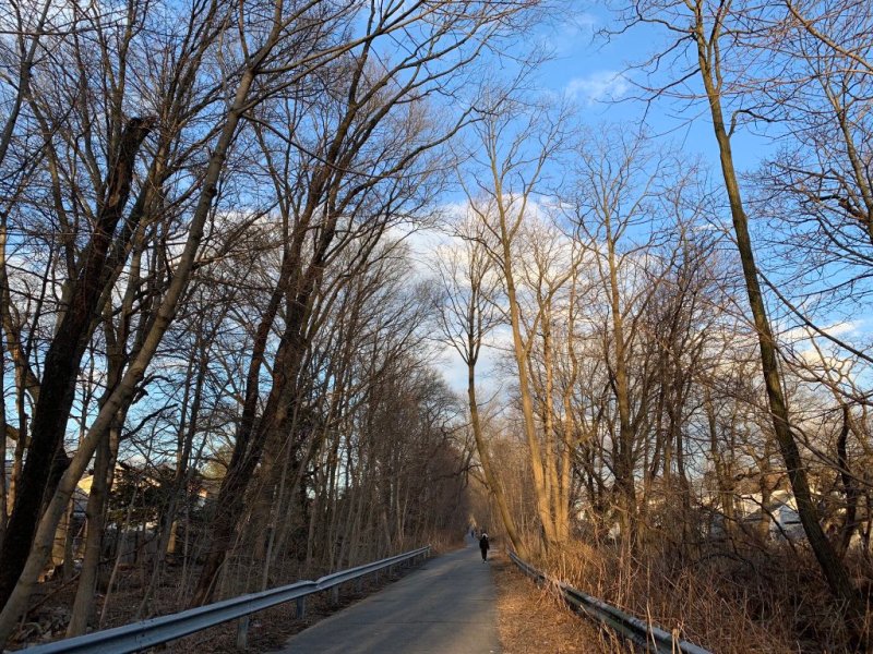 A section of the Motor Parkway trail in Queens before it abruptly ends at Winchester Avenue. Photo: Motor Parkway East