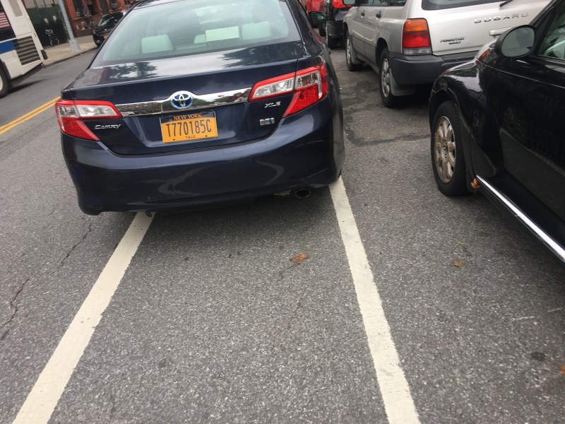 A symbol of New York City's bike lane network. File photo: Vivian Lipson