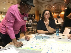 CB9 Transportation Committee Co-Chairwoman Carolyn Thompson (in pink) predicts a battle over every parking space in Harlem when Citi Bike wants to site its docks. Photo: Dave Colon