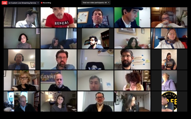 This is what a coronavirus-era Council hearing looks like.