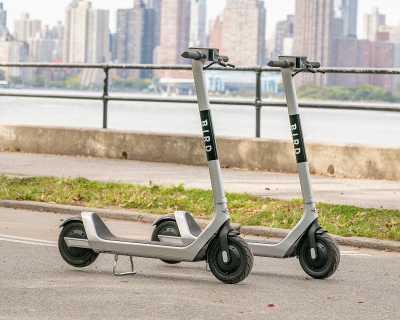 Bird e-scooters, pictured during a product demonstration in Queens. Photo: Bird/Dennis A. Clark