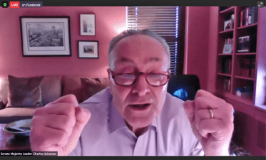 Chuck Schumer, live from his Brooklyn apartment, on Zoom.