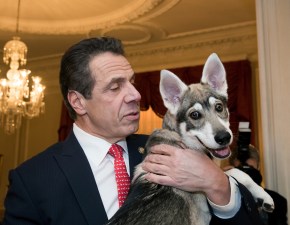 You want a friend in Albany? Get a dog. Then abandon him.