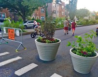 Look, ma, no cars! This is what a safe street looks like. File photo: Angela Stach
