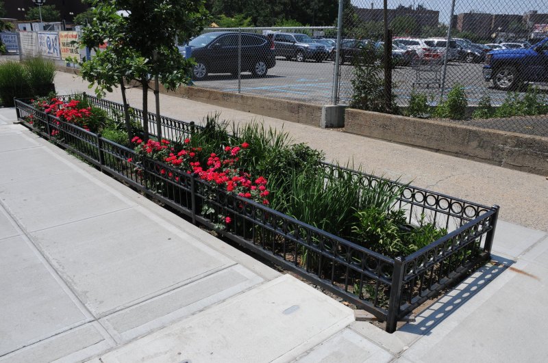 A curbside rain garden in Queens. Photo: NYC DEP