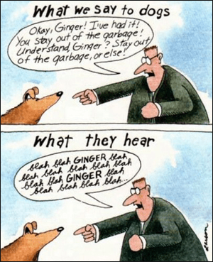 Cartoon: Gary Larson