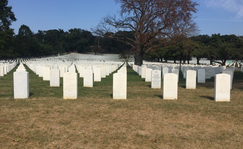 Too many to bear. File photo: Gersh Kuntzman