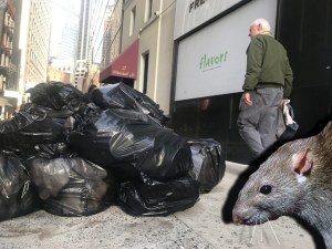 This rat has met the enemy — and it is us.