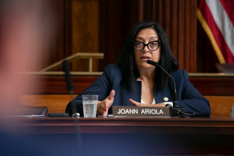 Queens Council Member and speedster Joann Ariola. Photo: New York City Council