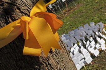 The Memorial Grove for Victims of Traffic Violence opened on Sunday in Brooklyn. Photo: Luke Ohlson