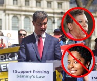 Department of Transportation Commissioner Ydanis Rodriguez rallied to support Sammy's Law this week, but Council Speaker Adrienne Adams and Council Member Selvena Brooks-Powers are not on board. Photo: Transportation Alternatives