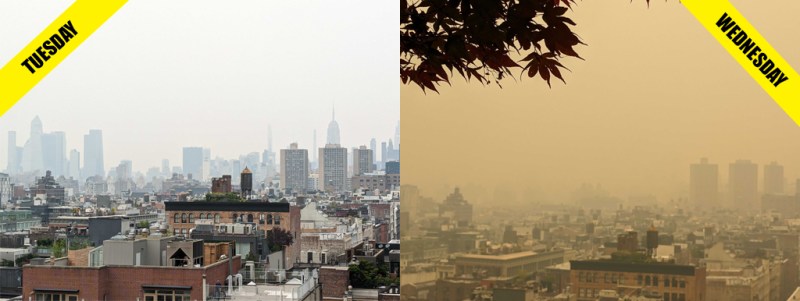 Paging Albert Camus — time for a sequel.